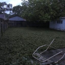 kenosha lawn maintenance, lawn mowing in kenosha, pollard tree industries