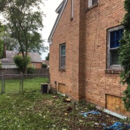 tree removal services in kenosha, kenosha tree trimming services