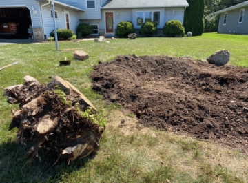 stump removal in kenosha, kenosha stump removal, stump removal near me